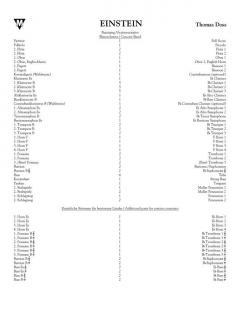 Einstein von Thomas Doss 