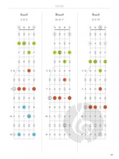 Banjo Fretboard Atlas im Alle Noten Shop kaufen kaufen