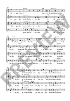 Chor der Sterne von Felicitas Kukuck 