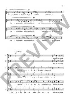 Chor der Sterne von Felicitas Kukuck 