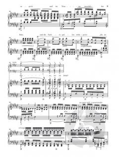 Frühlingsnacht aus dem Liederkreis op. 39 von Franz Liszt 
