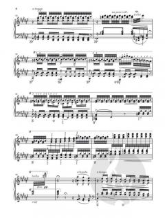 Frühlingsnacht aus dem Liederkreis op. 39 von Franz Liszt 
