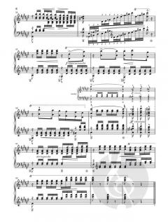 Frühlingsnacht aus dem Liederkreis op. 39 von Franz Liszt 
