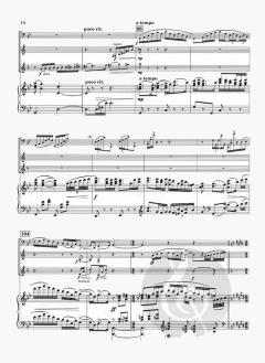 Concerto for Contrabassoon (Daniel Dorff) 