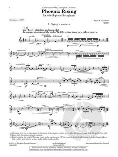 Phoenix Rising von Stacy Garrop 