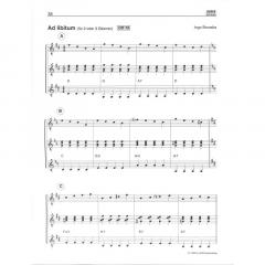 Gitarrenspielereien von Ingo Brzoska 