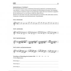 Gitarrenspielereien von Ingo Brzoska 