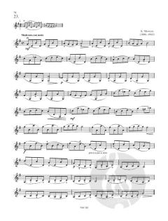 Der junge Geiger Teil 1 von Konstantin Alexandrowitsch Fortunatow 