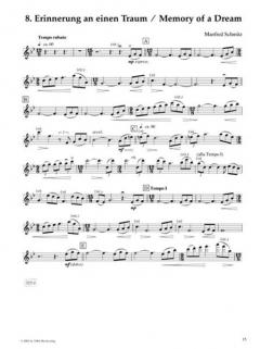 Pop-Romantik von Manfred Schmitz 