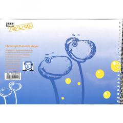 Blockflötenspiel mit Flautino (Christoph Heinrich Meyer) 