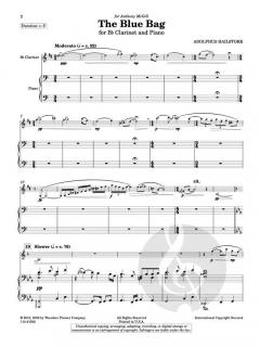 The Blue Bag von Adolfus Hailstork 