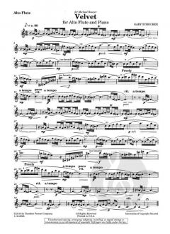 Velvet von Gary Schocker 