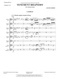 Tenement Rhapsody von Amanda Harberg 