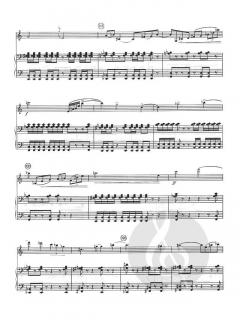 Concerto Fo Violin and Orchestra von William Schuman im Alle Noten Shop kaufen