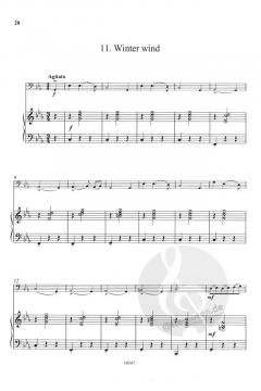 Shooting Stars von Hugh Colledge 