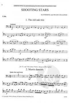 Shooting Stars von Hugh Colledge 