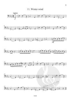 Shooting Stars von Hugh Colledge 