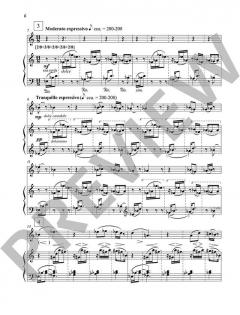 Gezi Park 3 op. 54b von Fazil Say 