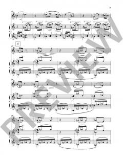 Gezi Park 3 op. 54b von Fazil Say 