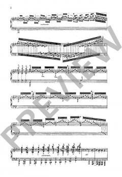 Konzert Nr. 2 g-Moll op. 22 von Camille Saint-Saëns 