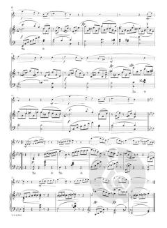 Fantasiestücke op. 73 von Robert Schumann 