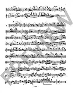 Les Maîtres du Violon 6 von Mathieu Crickboom 