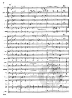 Journey Into Diablo Canyon (David Shaffer) 