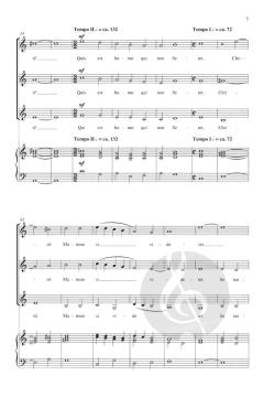 Stabat Mater von Meredith Y. Bowen 