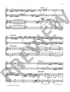 Partita VII von Heinrich Ignaz Franz Biber 