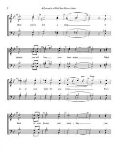 A Dream Is a Wish Your Heart Makes von Mack David 