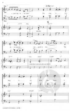 A Night in Tunisia von Frank Paparelli 