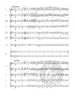 Konzert g-Moll op. 33 B 63 von Antonín Dvorák für Klavier und Orchester im Alle Noten Shop kaufen (Partitur)