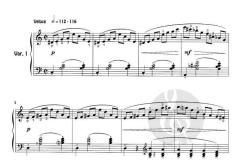 Les Chants Elisa Sur Un Theme De Serge Gainsbourg 