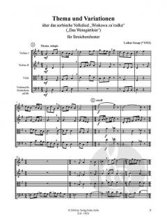Thema und Variationen über das sorbische Volkslied 'Winkowa za'rodka' von Lothar Graap für Streichorchester (Kontrabass ad lib.) im Alle Noten Shop kaufen