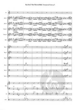 Tico Tico no fubà von Zequinha de Abreu 