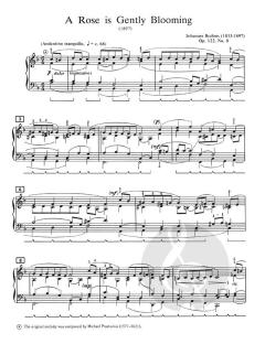 Classical Music For The Wedding Service 