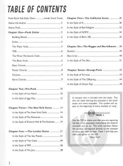 Guitar Styles: Punk Rock von Tobias Hurwitz 