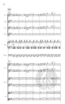 Pulse von Steve Reich 