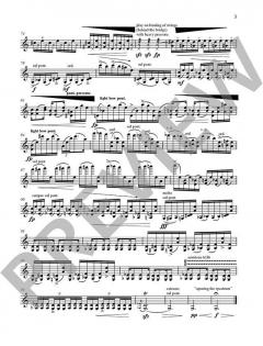 Violin Spaces 1 von Garth Knox im Alle Noten Shop kaufen