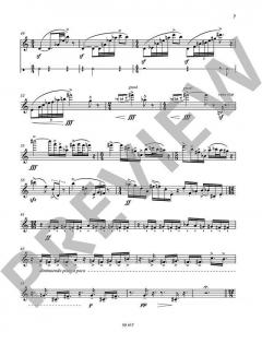 Elegia von Henk de Vlieger 