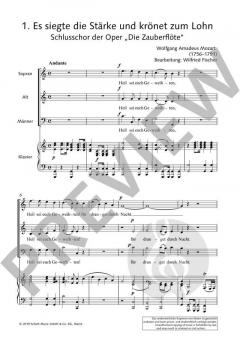 Chor zu dritt 7: Operngala 