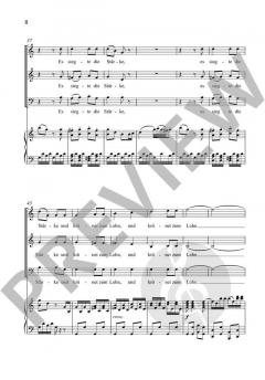 Chor zu dritt 7: Operngala 