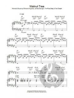 Walnut Tree von Keane 