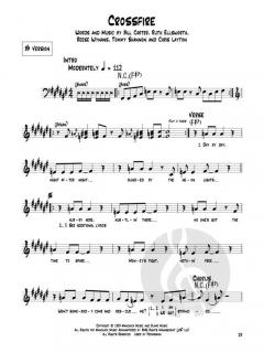 Blues Play-Along Vol. 17: Stevie Ray Vaughan im Alle Noten Shop kaufen