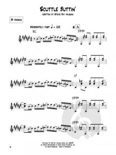 Blues Play-Along Vol. 17: Stevie Ray Vaughan im Alle Noten Shop kaufen