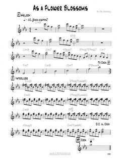 Pat Metheny Songbook von Pat Metheny 