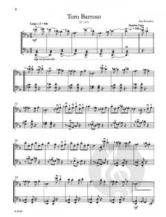 Folklore-Duette aus Südamerika 