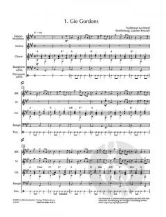 Irische Folklore Band 2 