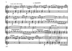 Partita in d (Richard Rudolf Klein) 