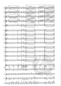 The Hawk Talks von T. Heath 